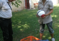 den dětí 2011