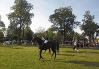 sam_0884