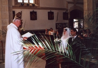 Romská svatba Bítozeves 2007